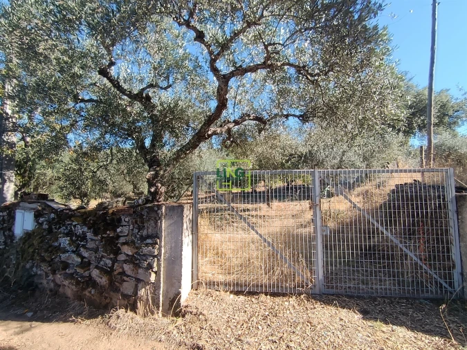 Terreno Agricola ou Rústico para Venda em Aranhas Foto 26