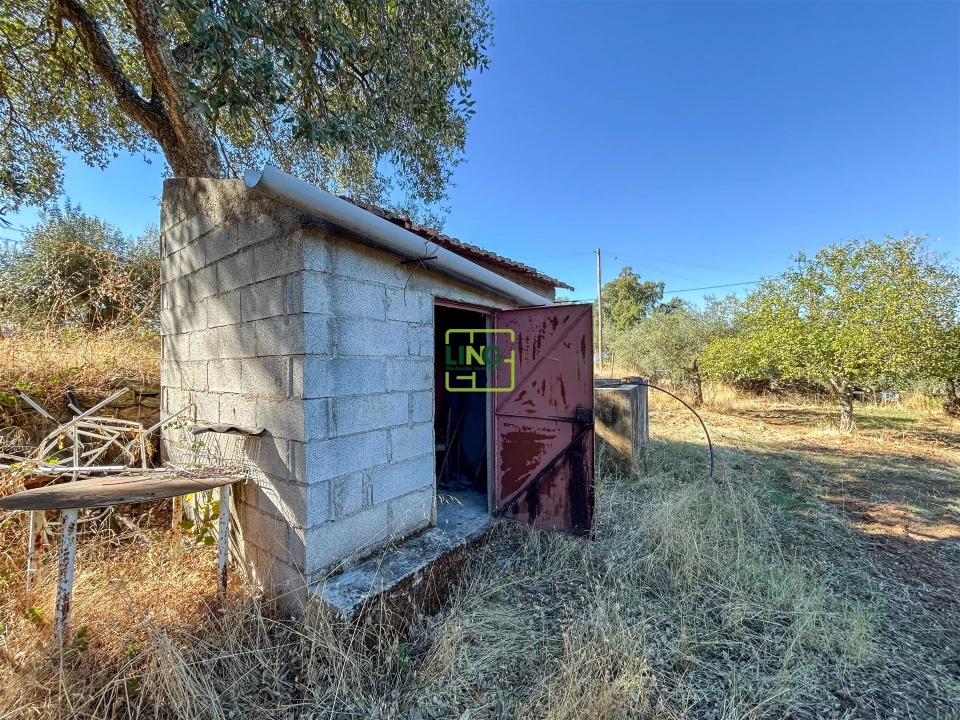 Terreno Agricola ou Rústico para Venda em Aranhas Foto 54