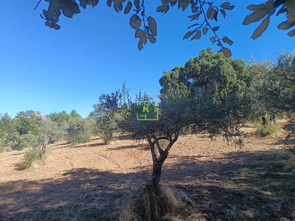 Terreno Agricola ou Rústico para Venda em Aranhas Foto 8