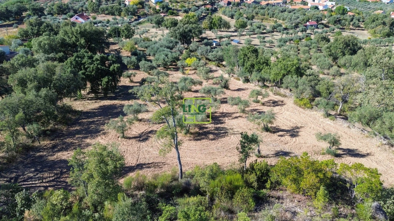Terreno Agricola ou Rústico para Venda em Aranhas Foto 48