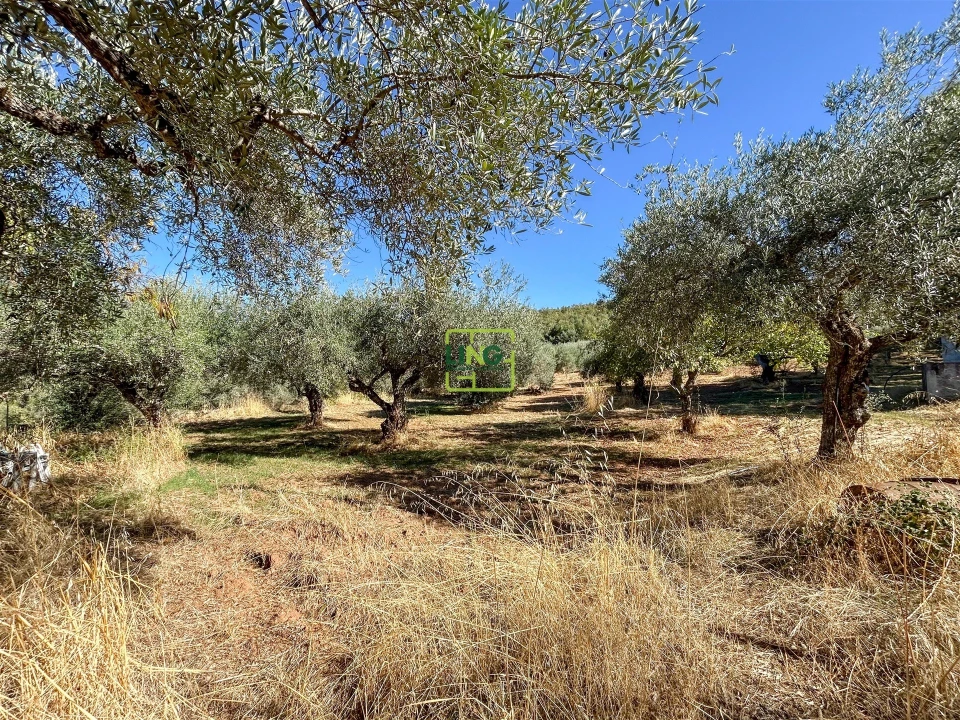 Terreno Agricola ou Rústico para Venda em Aranhas Foto 52
