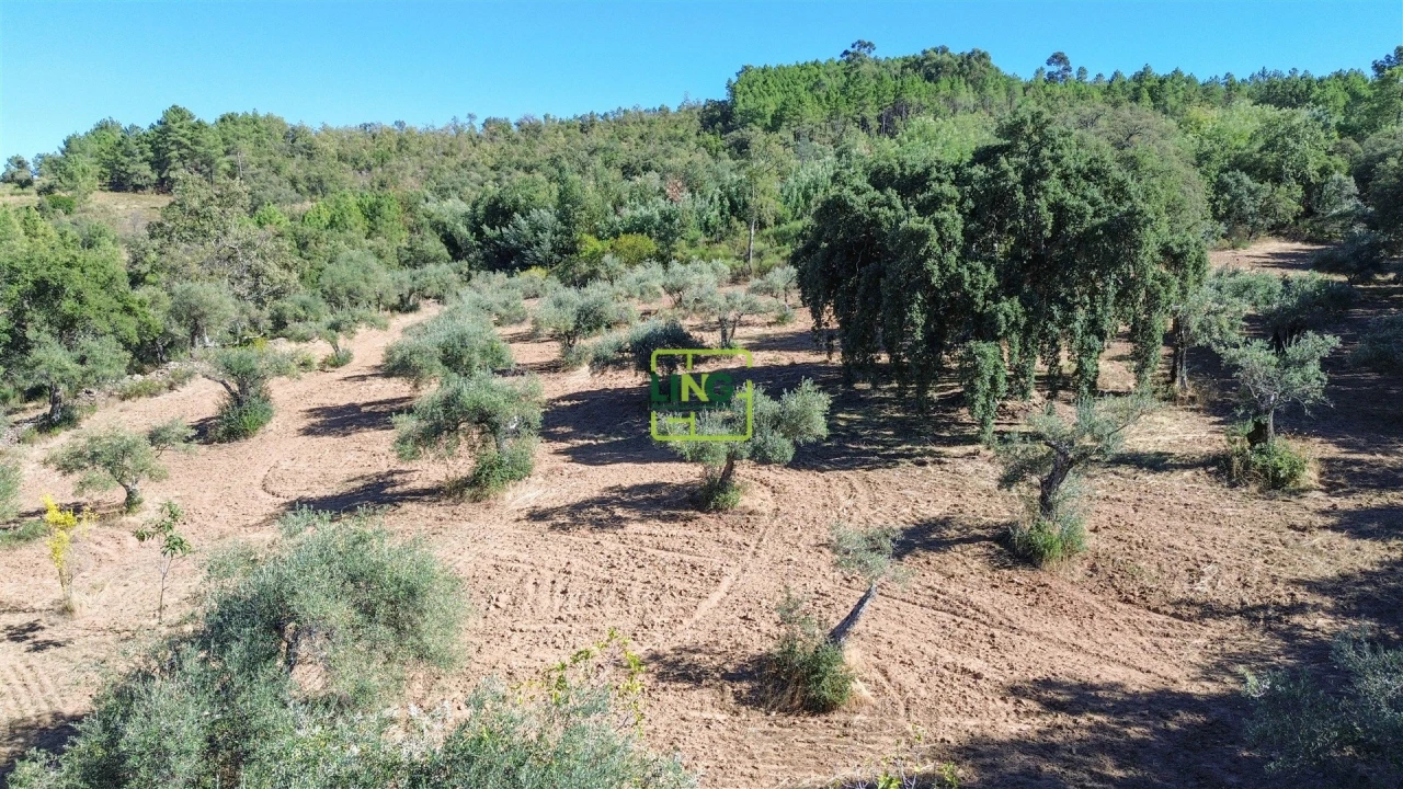Terreno Agricola ou Rústico para Venda em Aranhas Foto 41