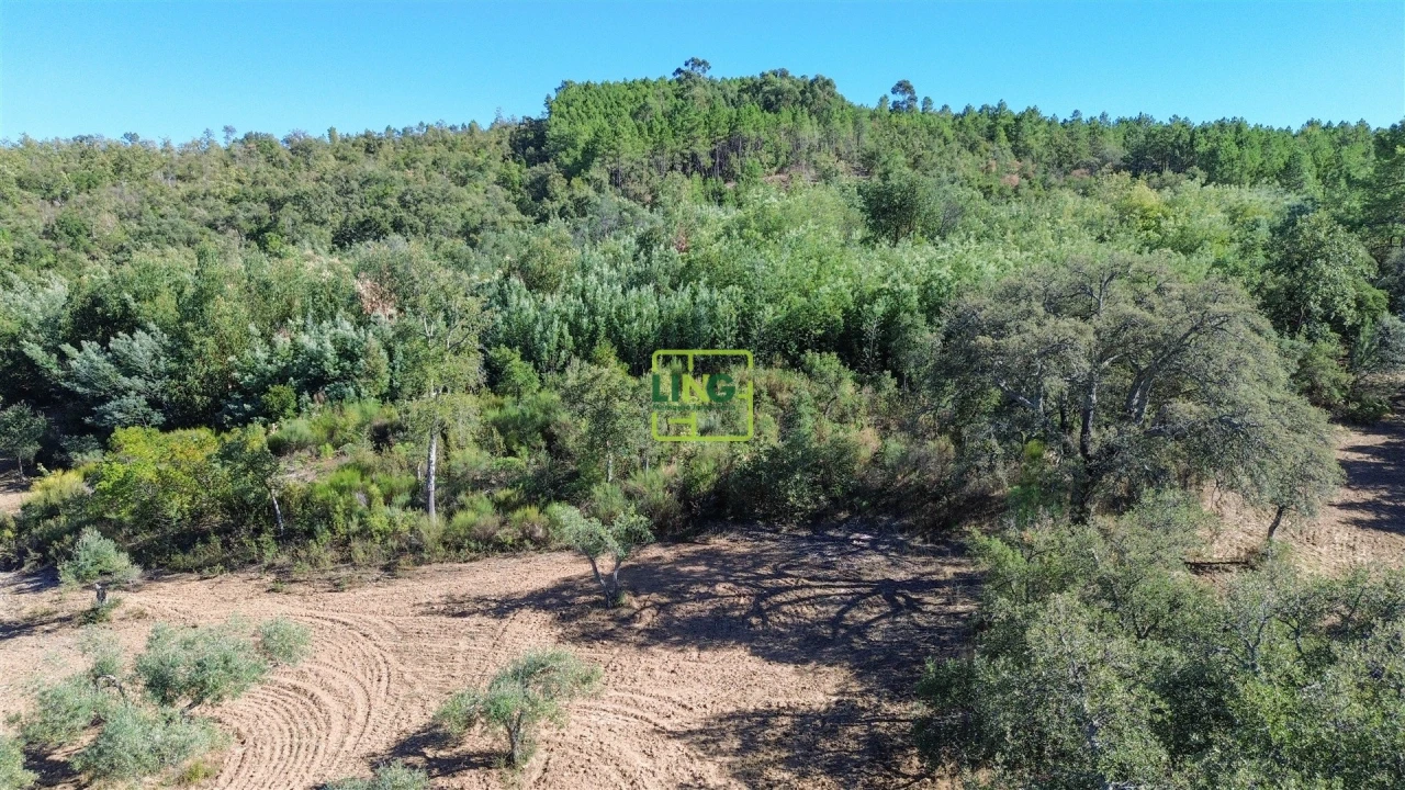 Terreno Agricola ou Rústico para Venda em Aranhas Foto 42