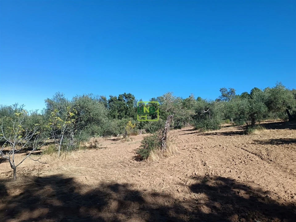 Terreno Agricola ou Rústico para Venda em Aranhas Foto 4