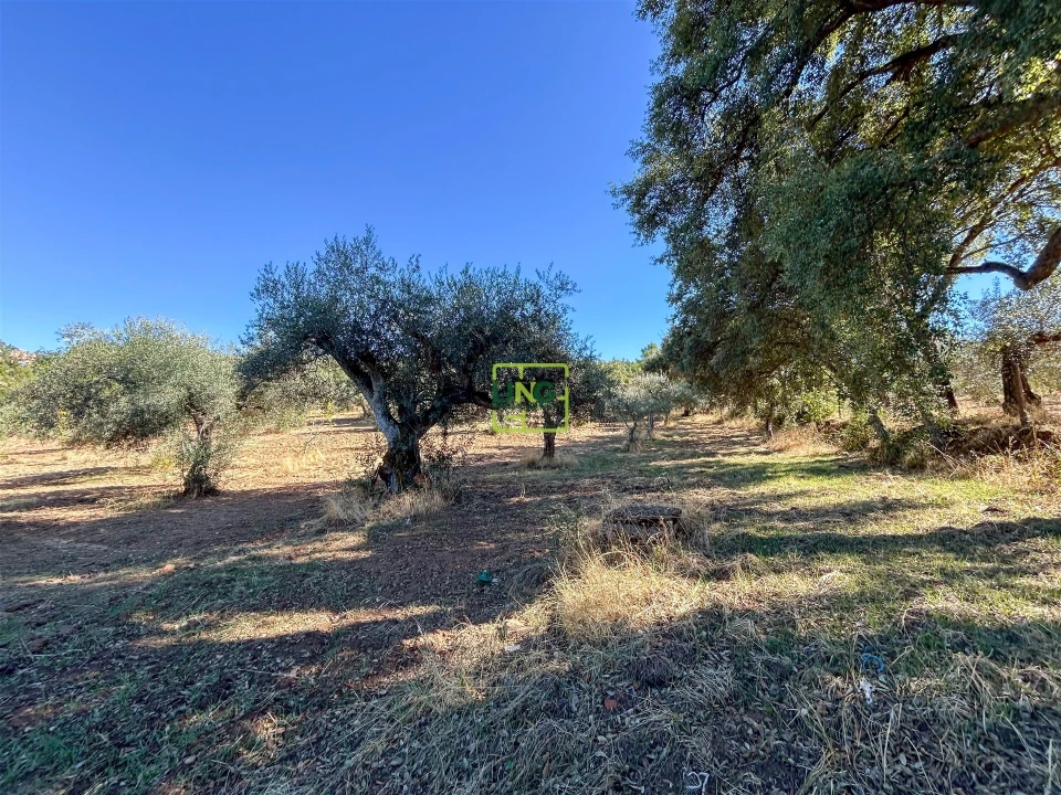 Terreno Agricola ou Rústico para Venda em Aranhas Foto 53