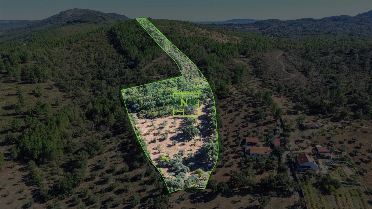 Terreno Agricola ou Rústico para Venda em Aranhas Foto 30