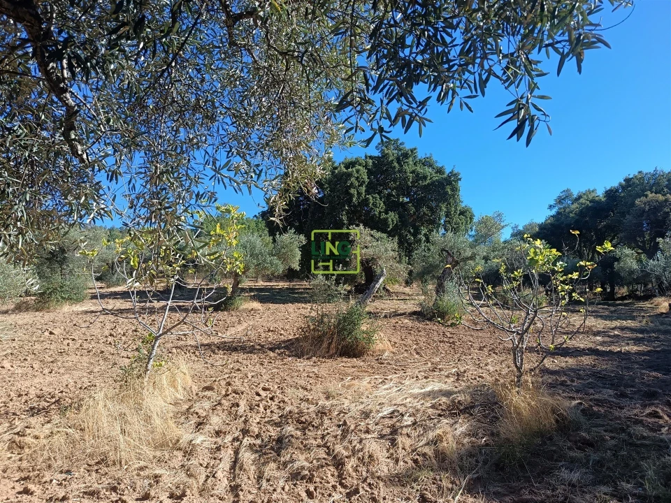 Terreno Agricola ou Rústico para Venda em Aranhas Foto 2