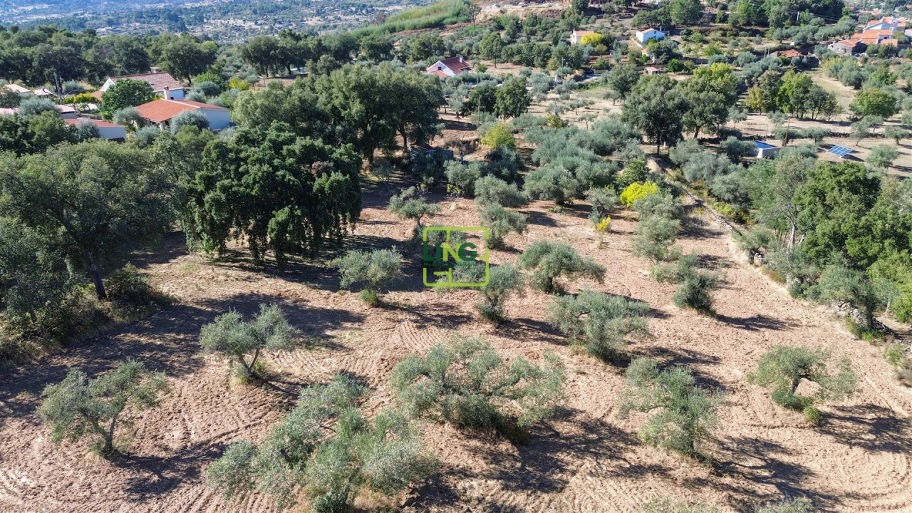 Terreno Agricola ou Rústico para Venda em Aranhas Foto 49