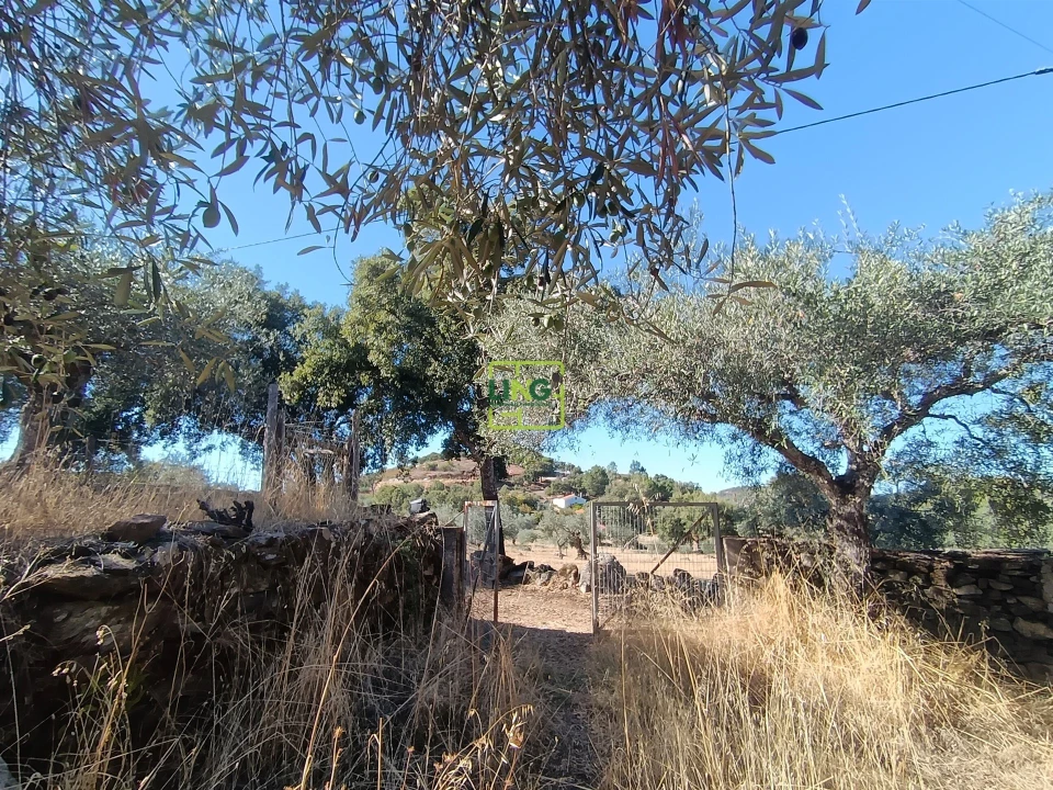 Terreno Agricola ou Rústico para Venda em Aranhas Foto 23