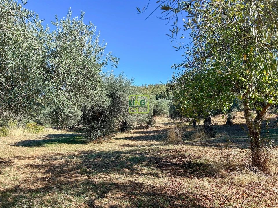 Terreno Agricola ou Rústico para Venda em Aranhas Foto 59