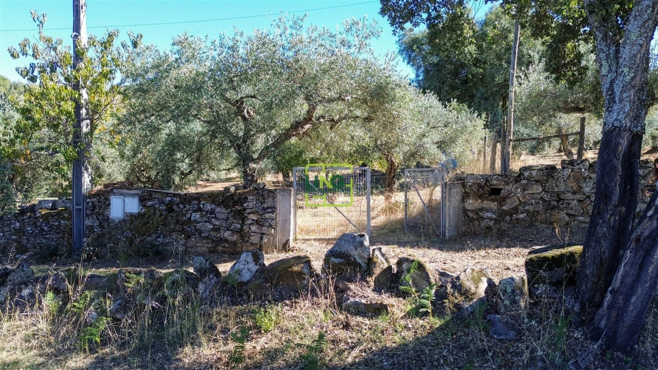 Terreno Agricola ou Rústico para Venda em Aranhas Foto 28