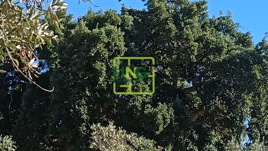 Terreno Agricola ou Rústico para Venda em Aranhas
