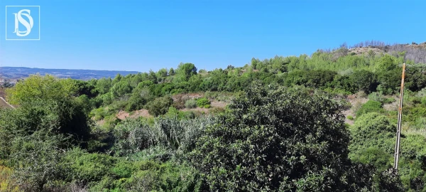Terreno para Venda em Meca