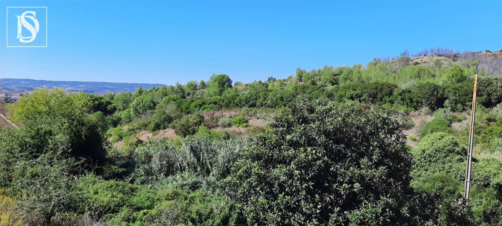 Terreno para Venda em Meca Foto 5