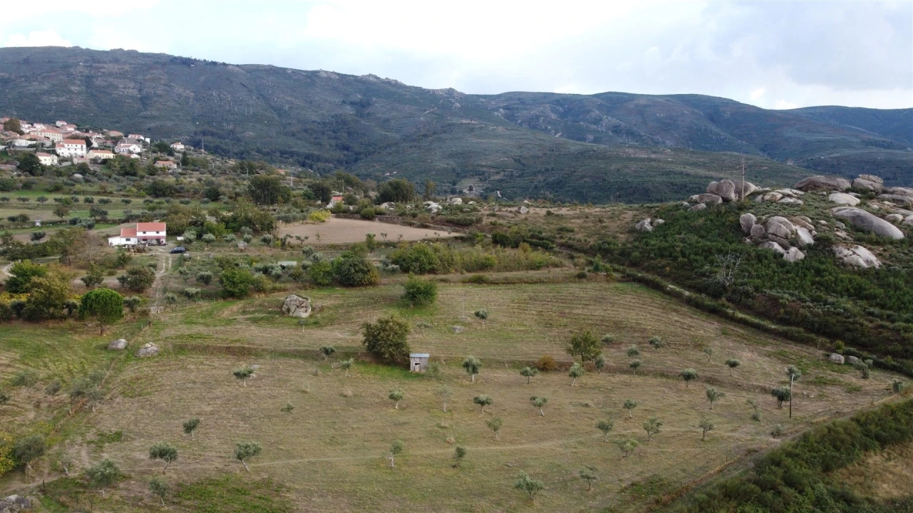 Quinta T1 para Venda em Linhares Foto 3