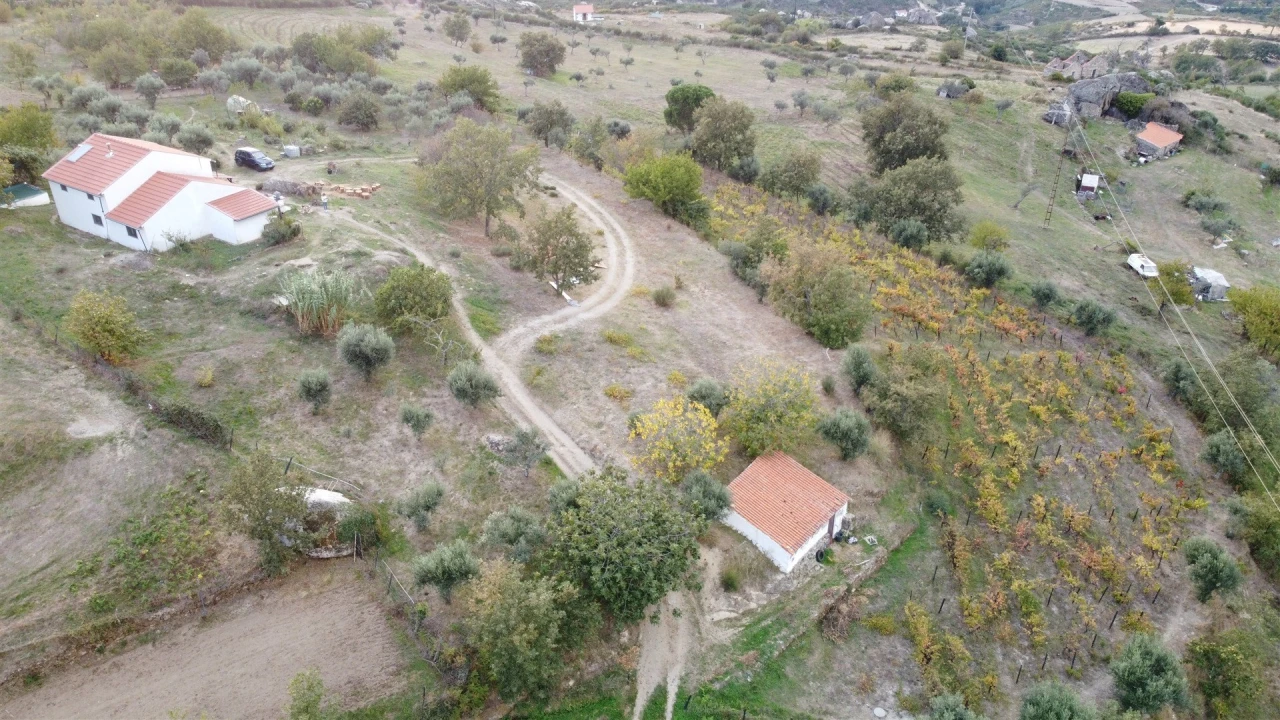 Quinta T1 para Venda em Linhares Foto 33