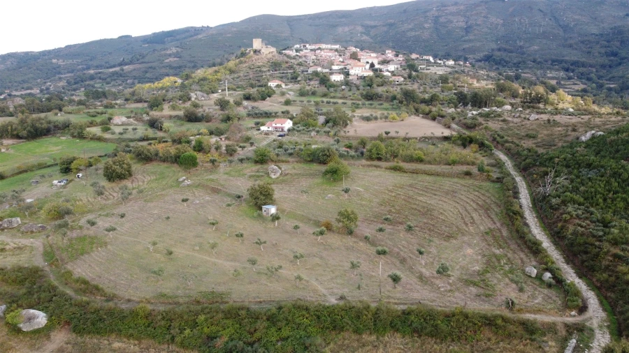 Quinta T1 para Venda em Linhares Foto 5