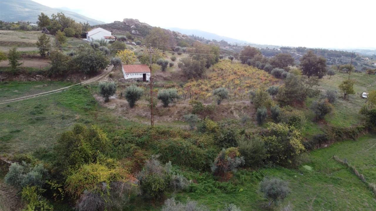 Quinta T1 para Venda em Linhares Foto 31