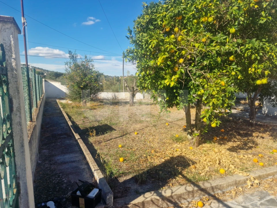 Terreno para Venda em Arraiolos Foto 10