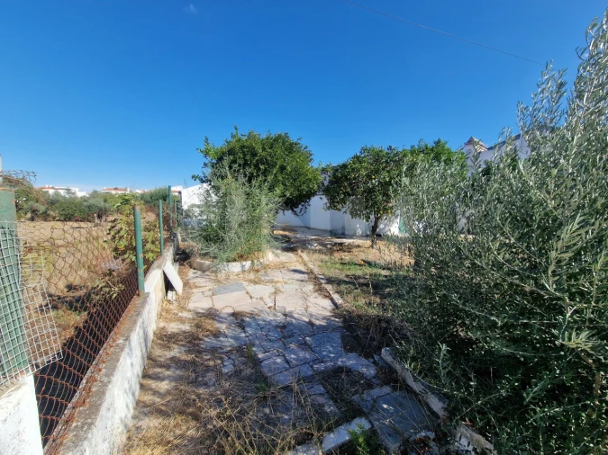 Terreno para Venda em Arraiolos Foto 8