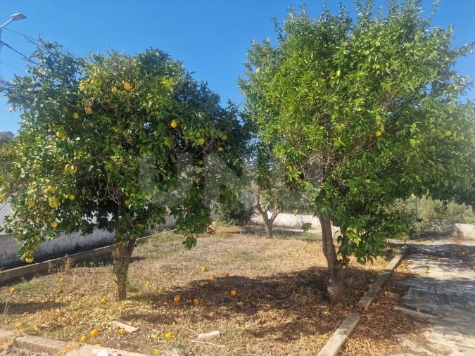 Terreno para Venda em Arraiolos Foto 11