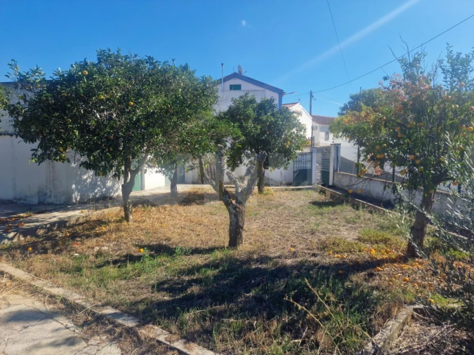 Terreno para Venda em Arraiolos Foto 12