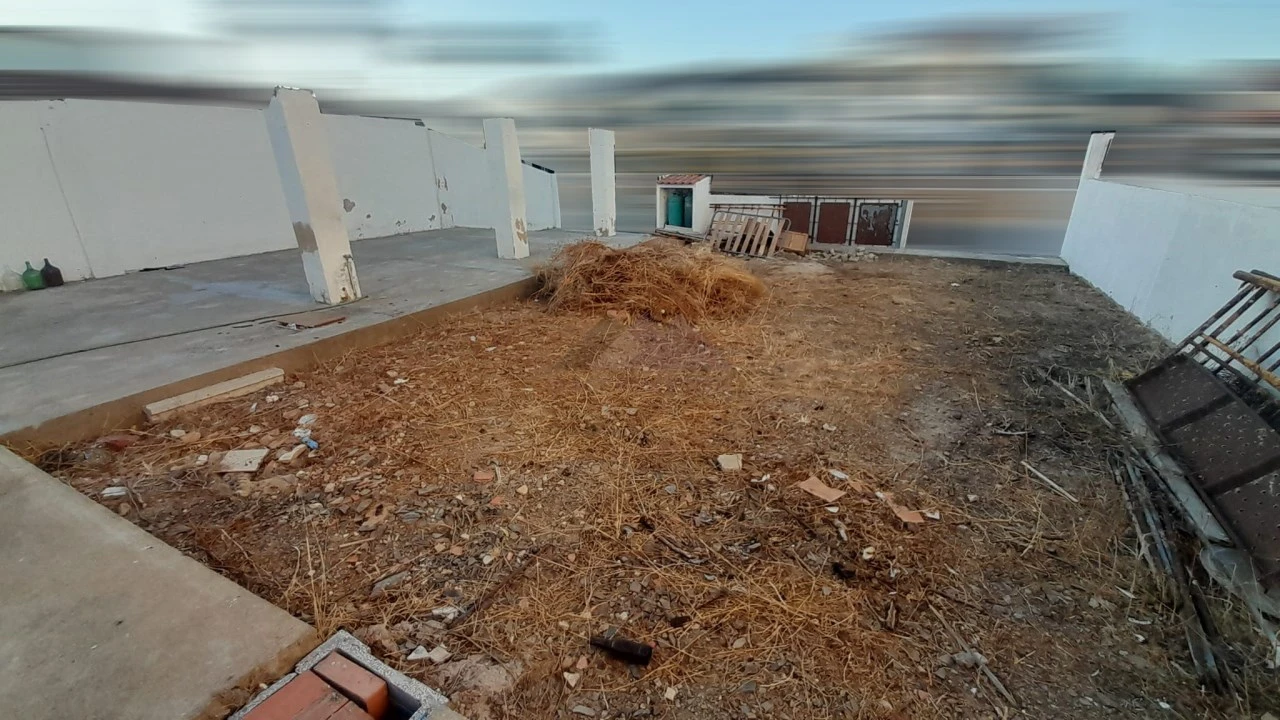 Terreno para Venda em Altura Foto 4