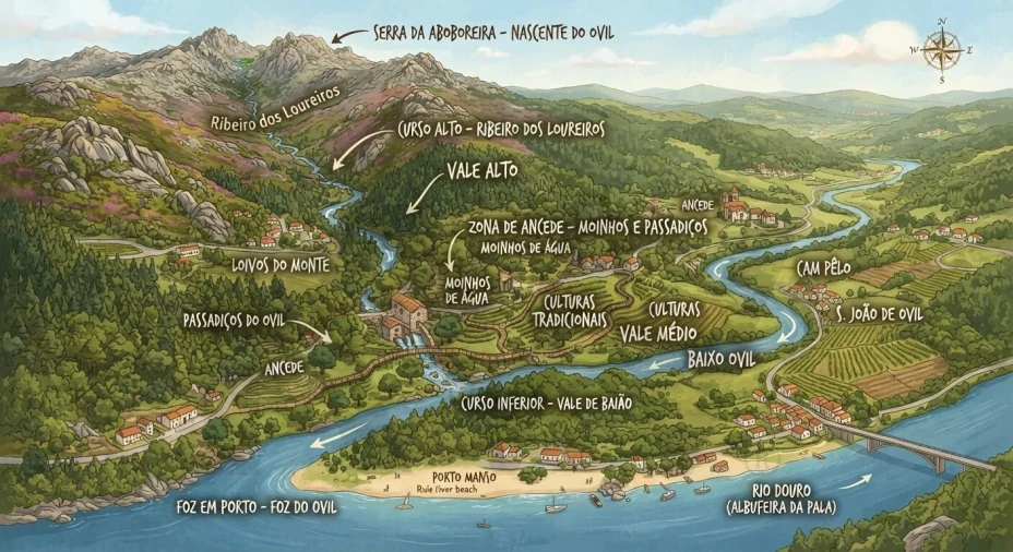 Terreno para Venda em Ancede e Ribadouro Foto 7