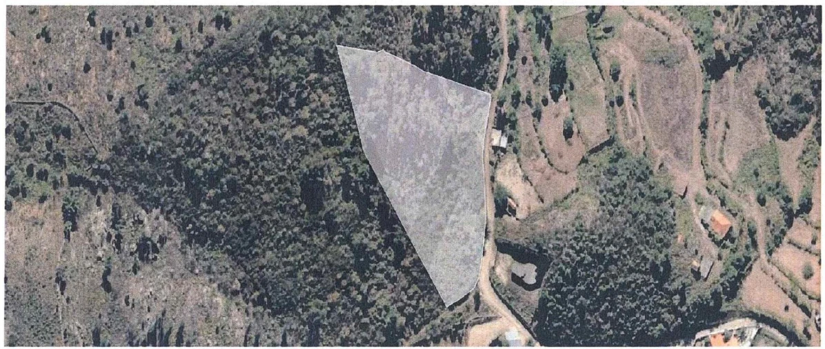 Terreno para Venda em Ancede e Ribadouro Foto 4