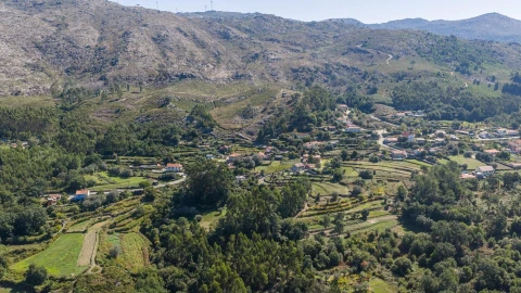 Moradia T5 para Venda em Montaria