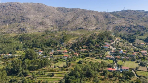 Moradia T5 para Venda em Montaria