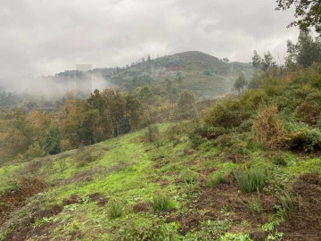Terreno para Venda em Abadim