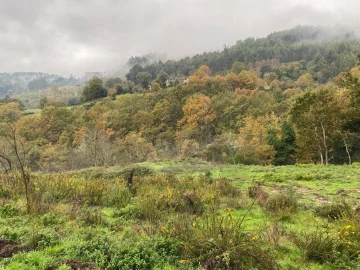 Terreno para Venda em Abadim