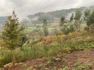 Terreno para Venda em Abadim