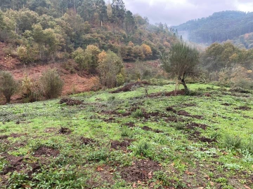 Terreno para Venda em Abadim