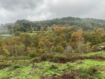 Terreno para Venda em Abadim