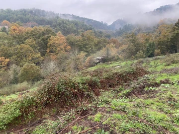 Terreno para Venda em Abadim