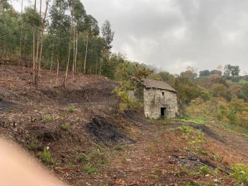 Terreno para Venda em Abadim