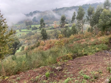 Terreno para Venda em Abadim