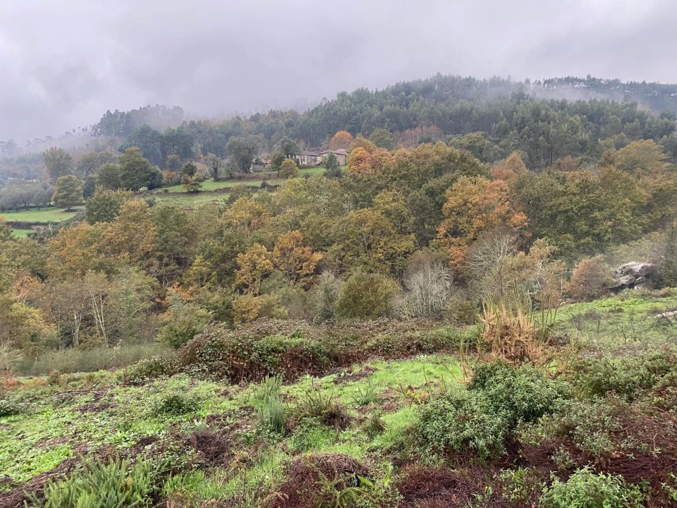 Terreno para Venda em Abadim Foto 7