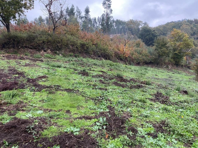Terreno para Venda em Abadim Foto 14