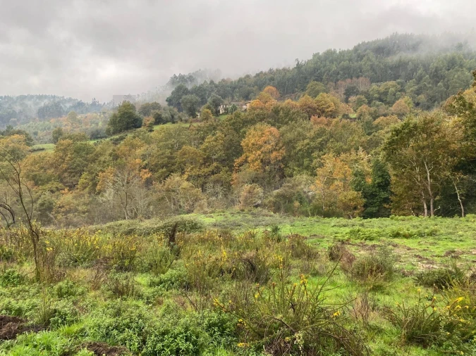 Terreno para Venda em Abadim Foto 12