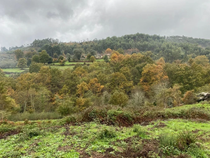 Terreno para Venda em Abadim Foto 13