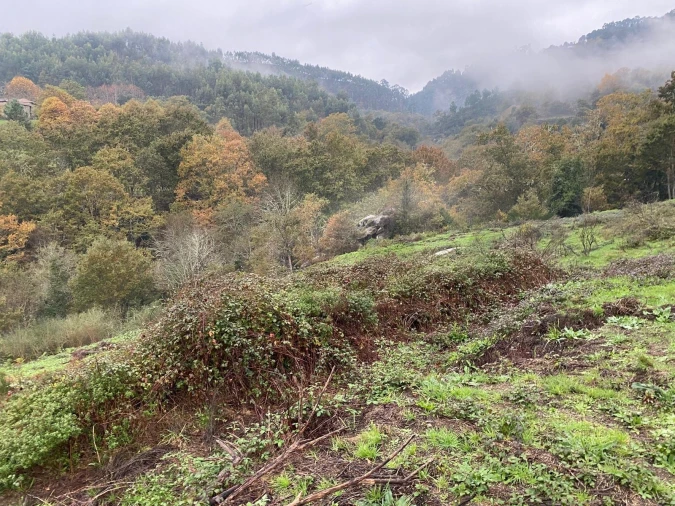 Terreno para Venda em Abadim Foto 4