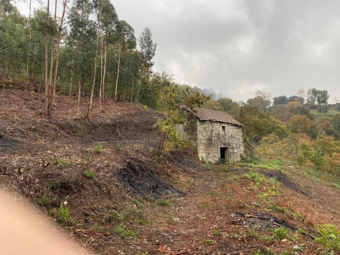 Terreno para Venda em Abadim Foto 3