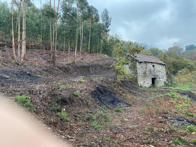 Terreno para Venda em Abadim Foto 2