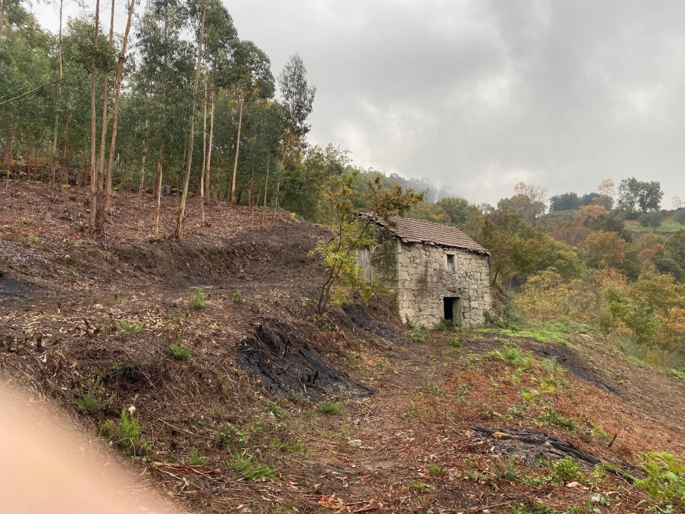 Terreno para Venda em Abadim Foto 3