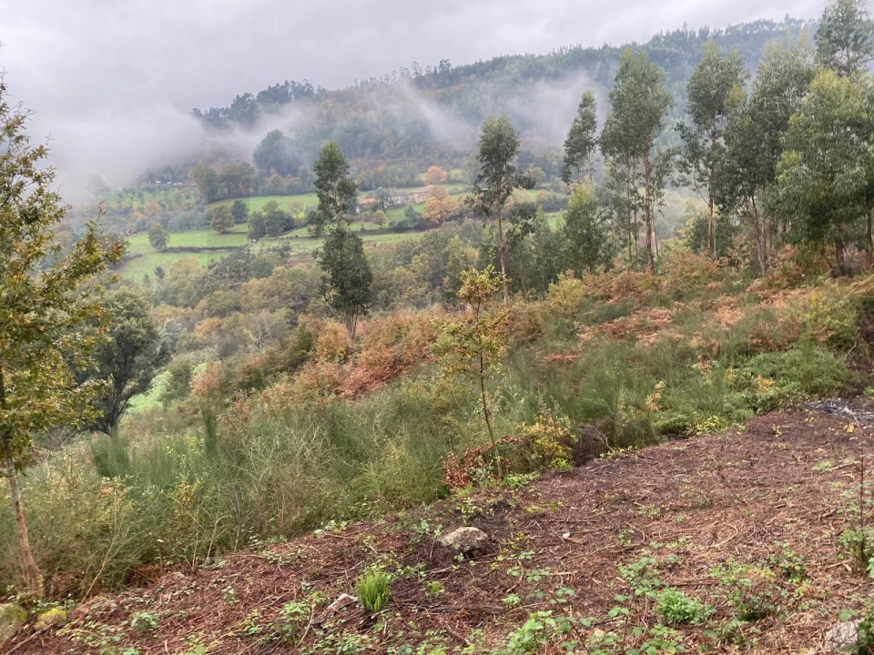 Terreno para Venda em Abadim Foto 16