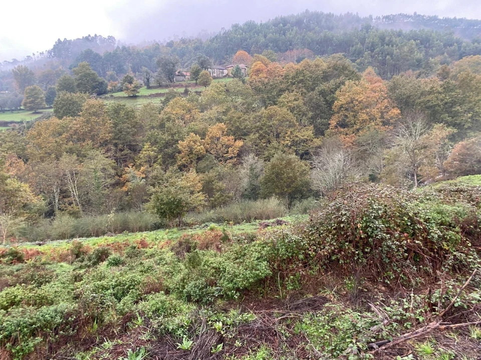 Terreno para Venda em Abadim Foto 15