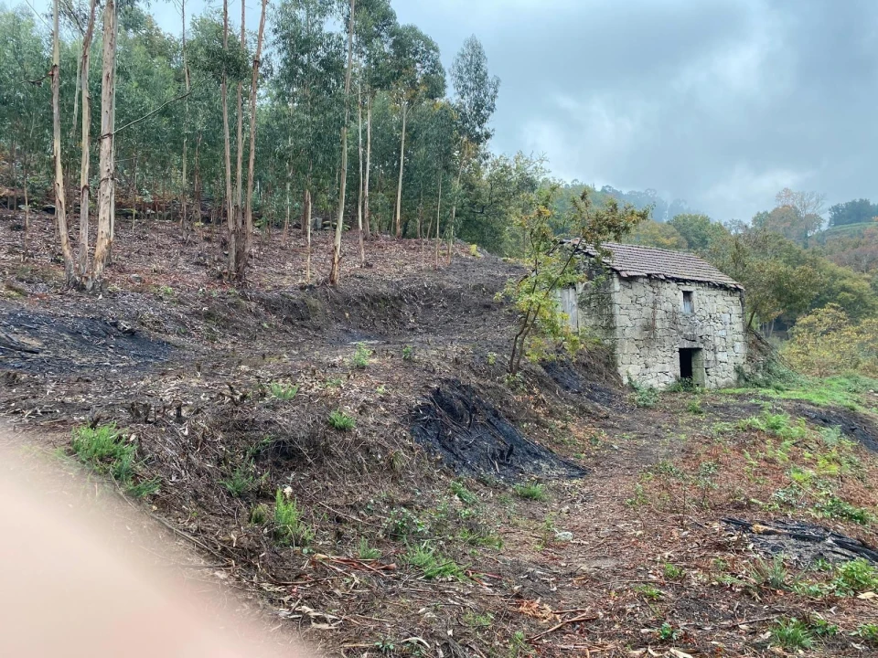 Terreno para Venda em Abadim Foto 2